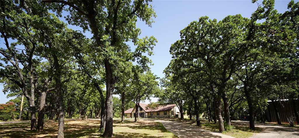 230 Private Road 2174 Decatur, TX 76234 - Photo 5 of 39