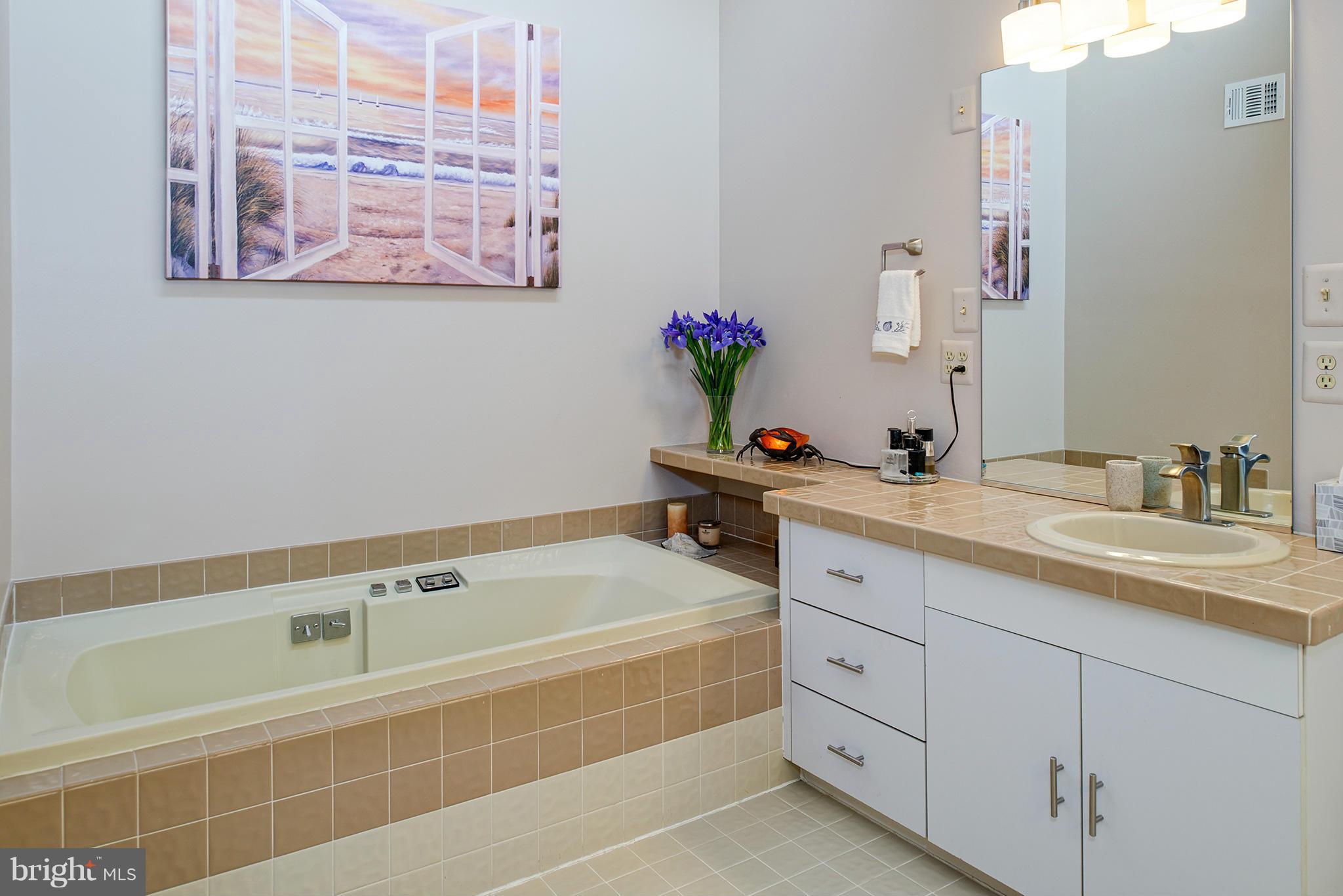 2022 Turtle Pond Drive Reston, VA 20191 - Photo 20 of 30 a spacious bathroom with a tub sink and mirror