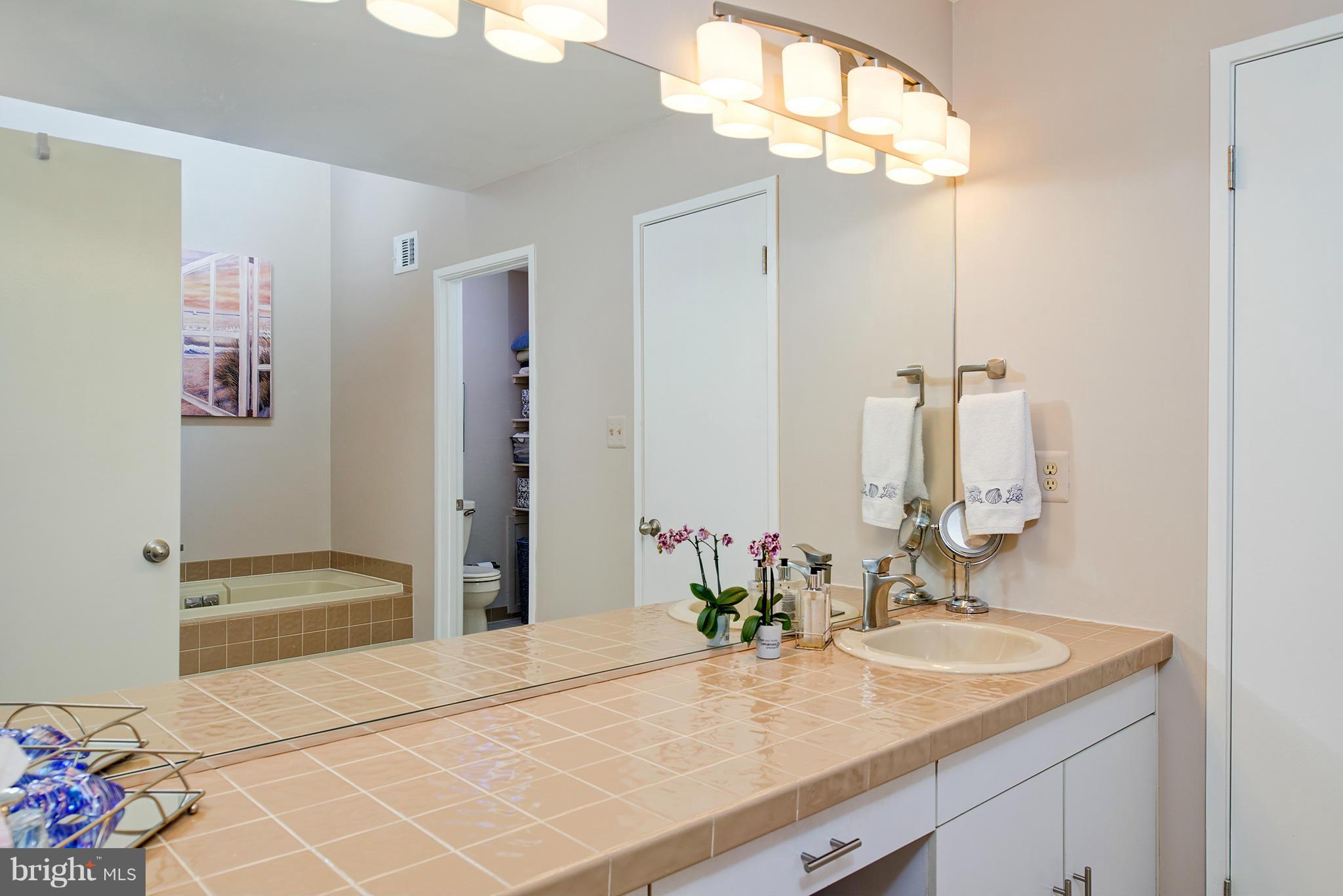 2022 Turtle Pond Drive Reston, VA 20191 - Photo 21 of 30 a bathroom with a sink and a mirror