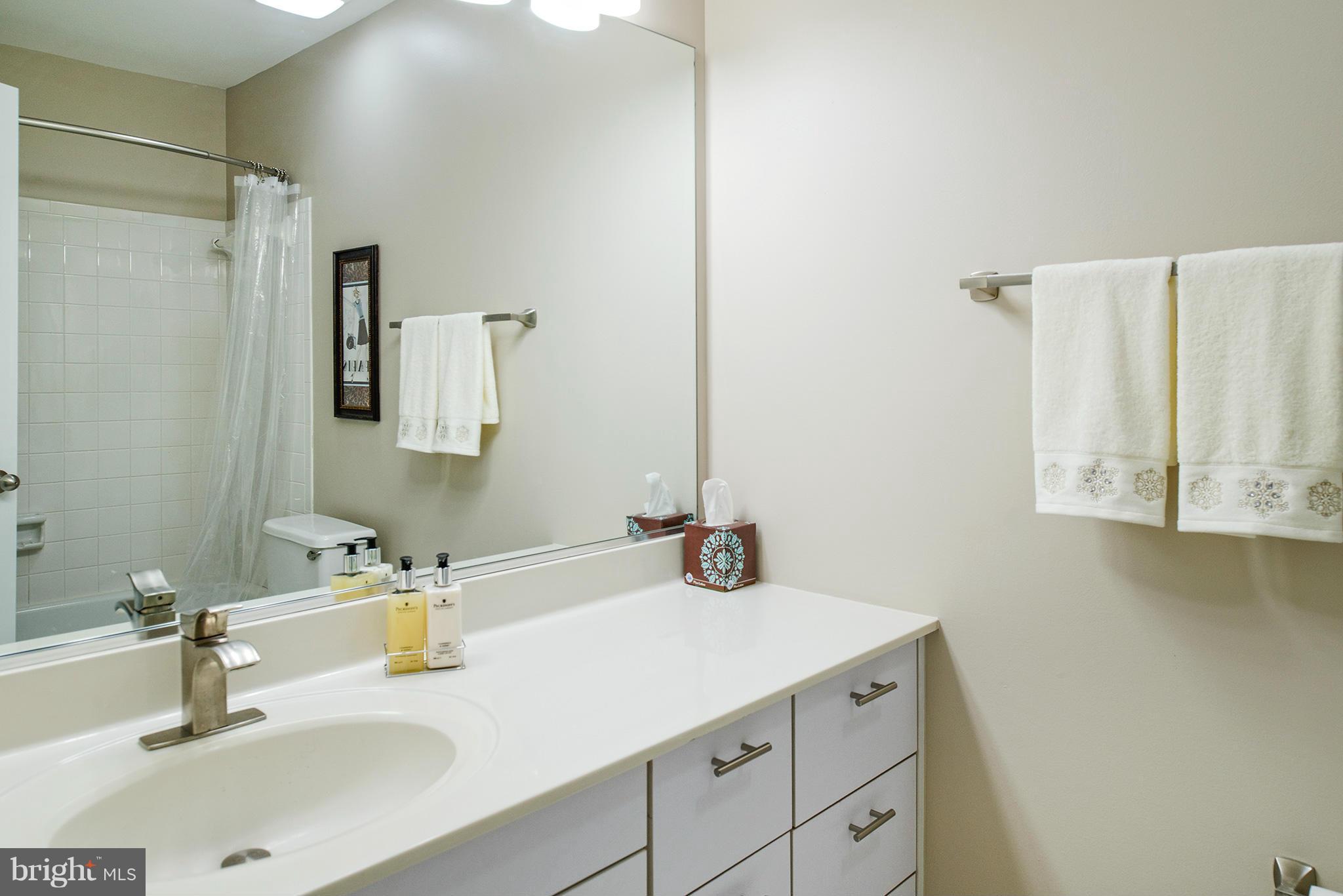 2022 Turtle Pond Drive Reston, VA 20191 - Photo 28 of 30 a bathroom with a sink and a mirror