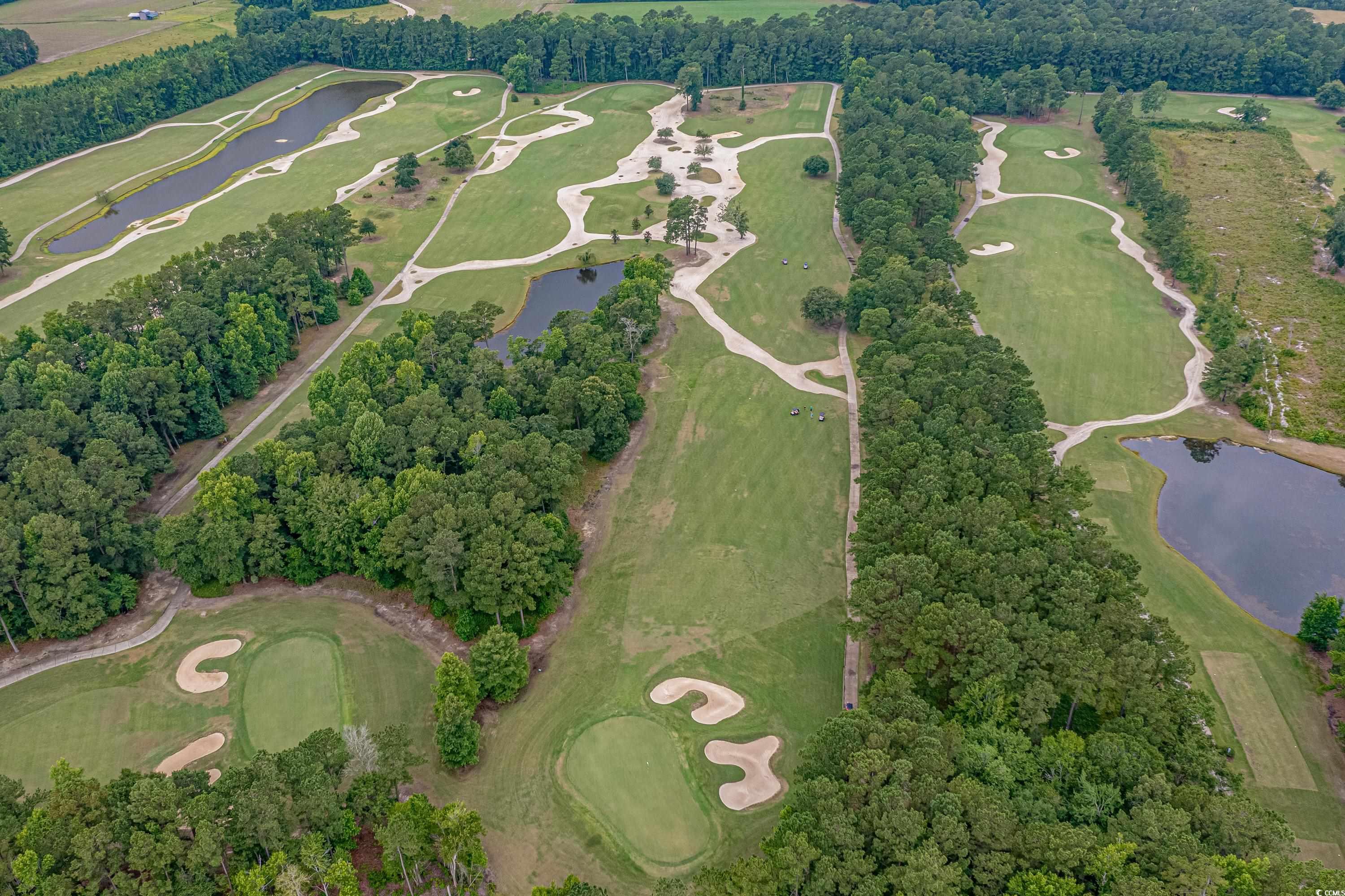 139 Dunbarton Lane Conway, SC 29526 - Photo 39 of 40 Aerial view featuring golf course view and a water