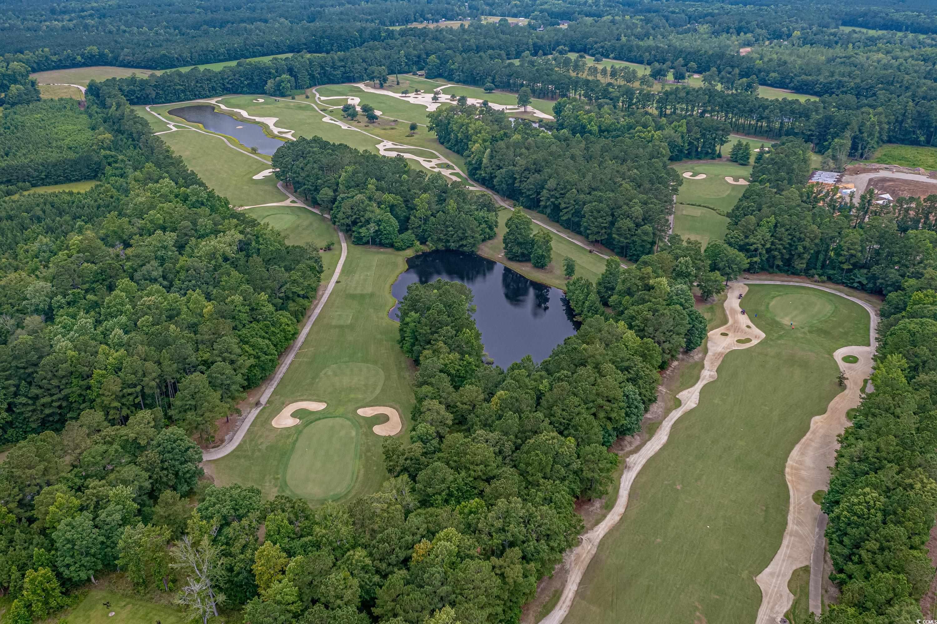 139 Dunbarton Lane Conway, SC 29526 - Photo 40 of 40 Birds eye view of property with a water view
