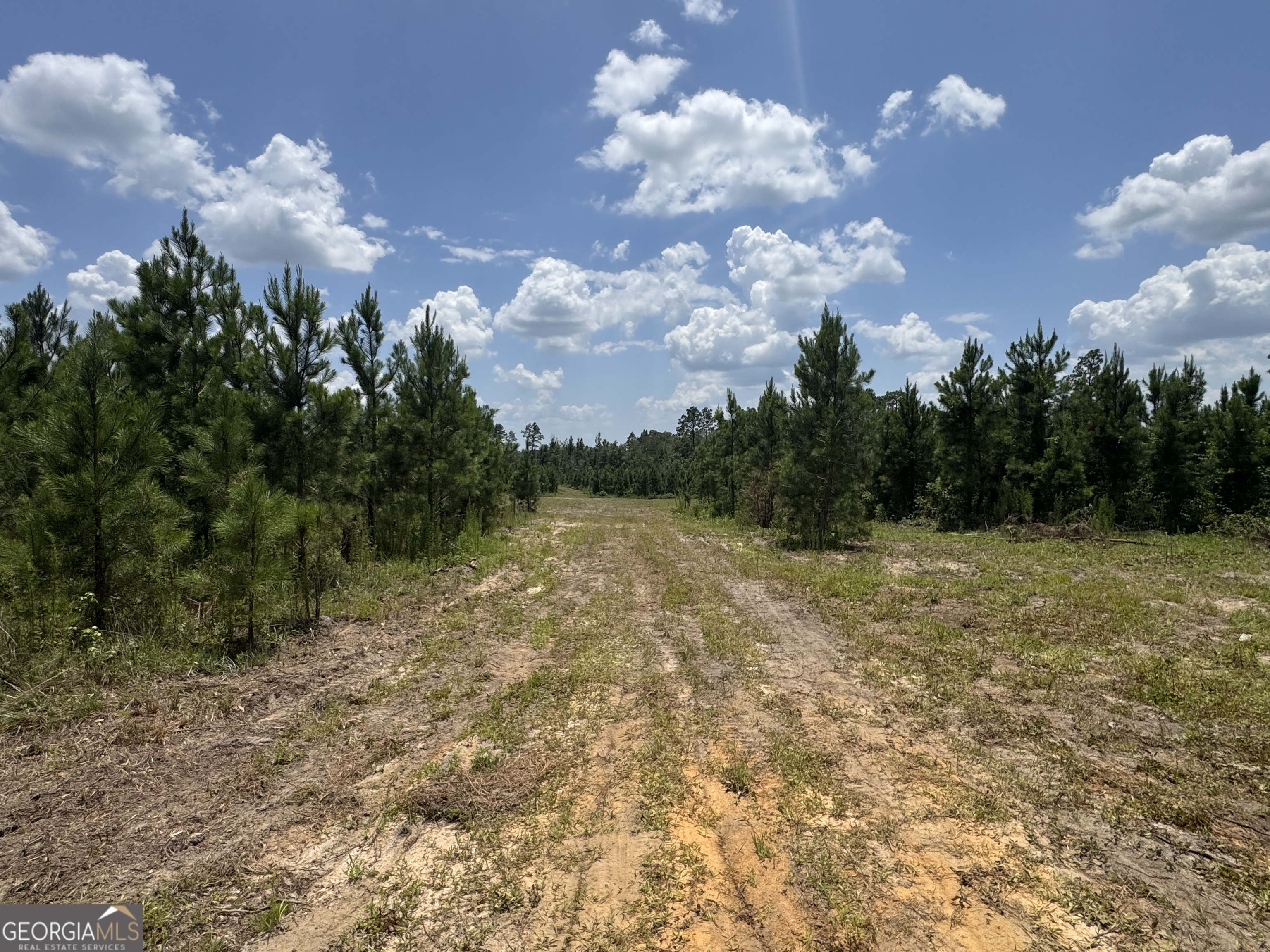 477 Keens Crossing Road East Dublin, GA 31027 - Photo 7 of 12