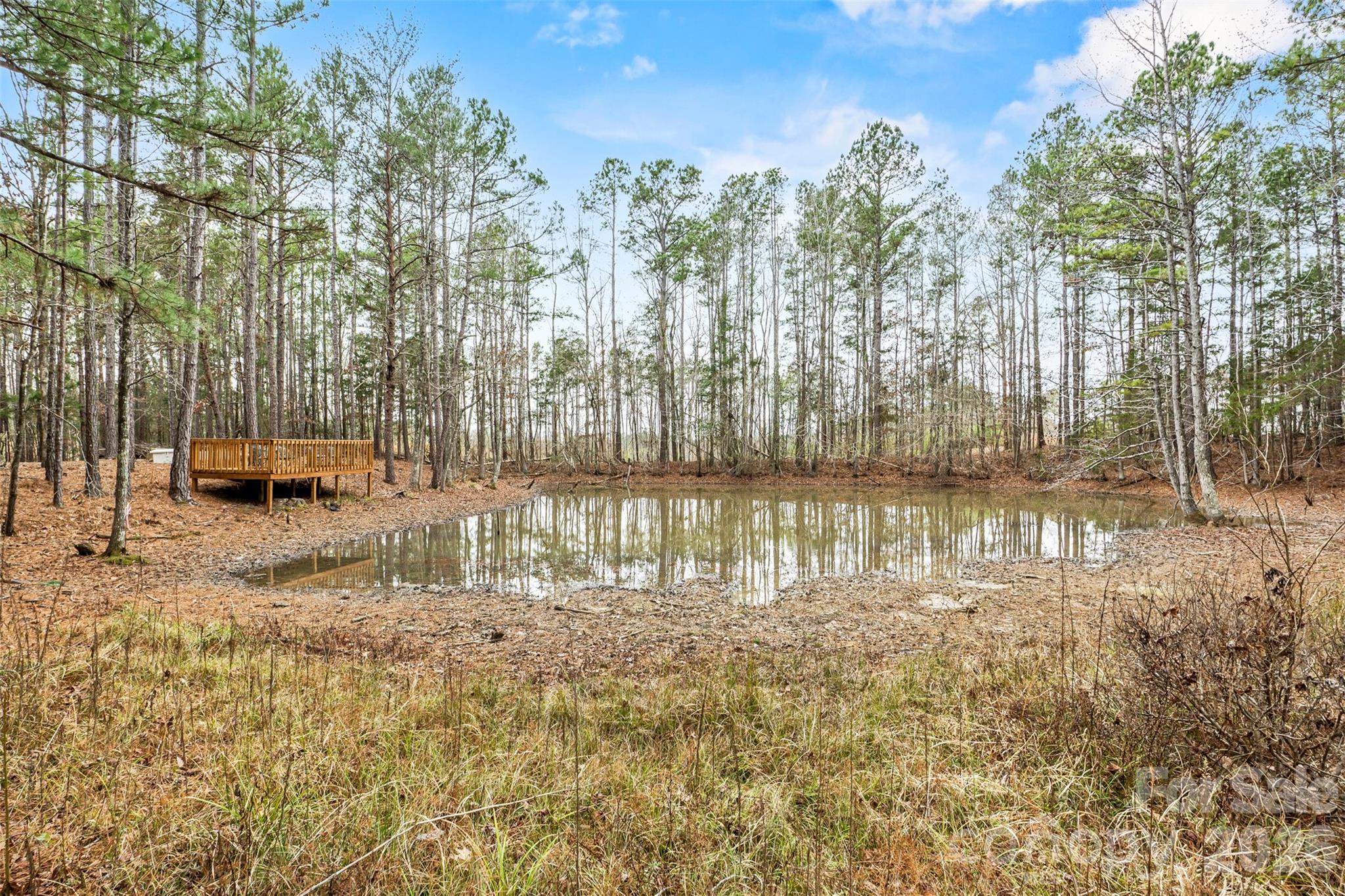 0 Richburg Road Great Falls, SC 29055 - Photo 11 of 15 a view of lake