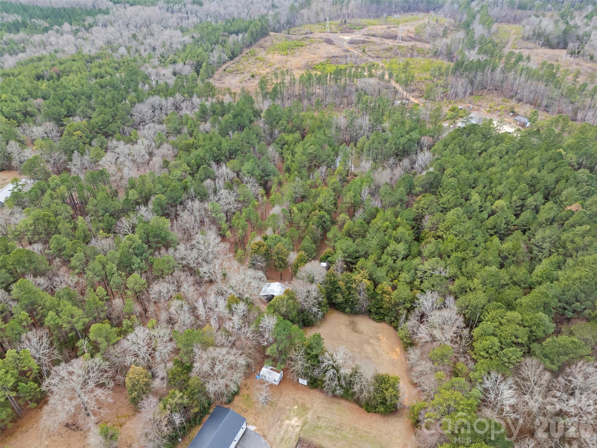 0 Richburg Road Great Falls, SC 29055 - Photo 14 of 15 a view of a forest with a tree