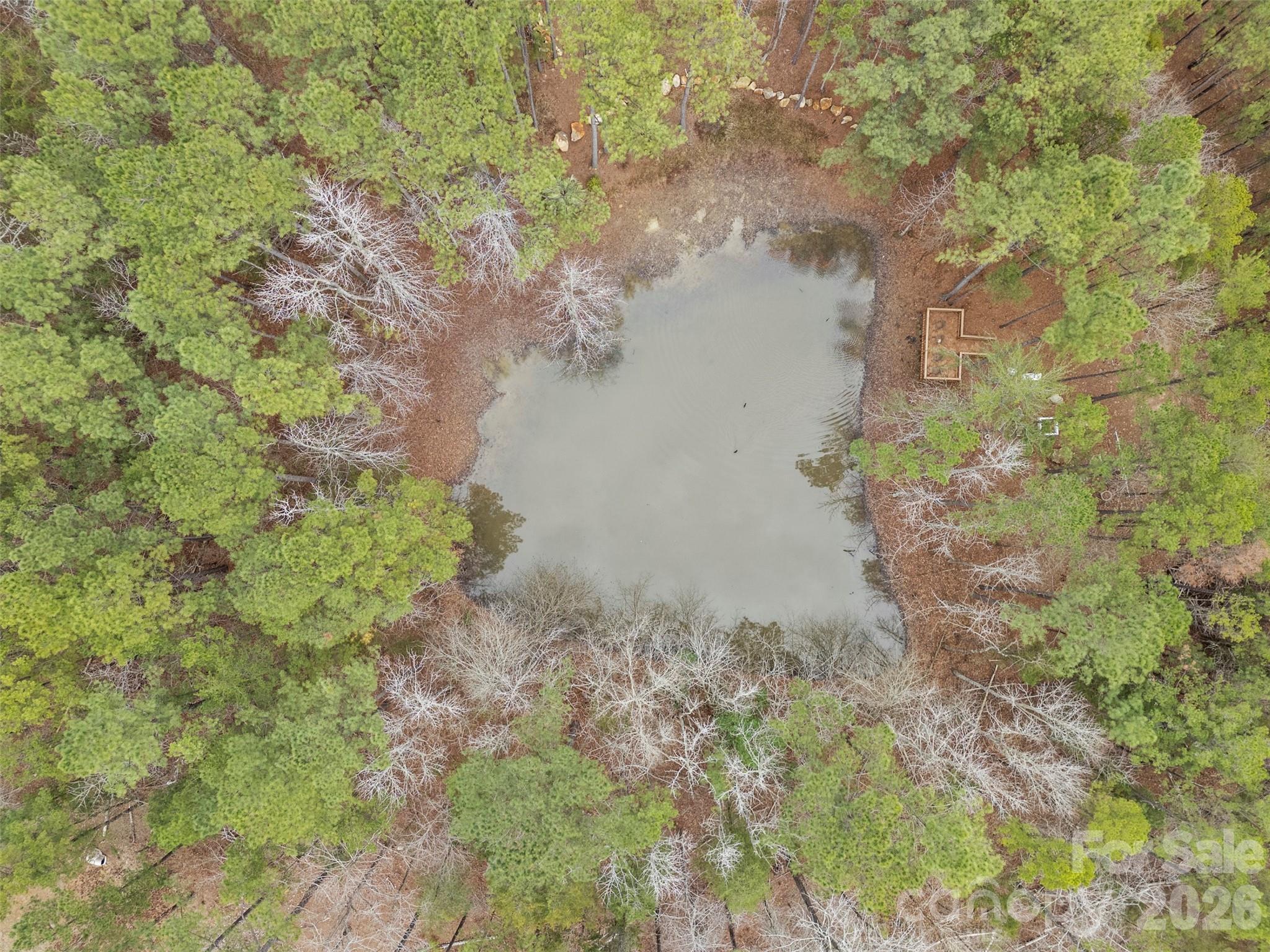 0 Richburg Road Great Falls, SC 29055 - Photo 15 of 15 a close up of a plant in a garden