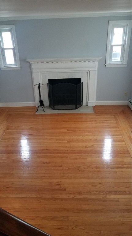 72 Belmont Road Cranston, RI 02910 - Photo 8 of 13 Living room with fireplace