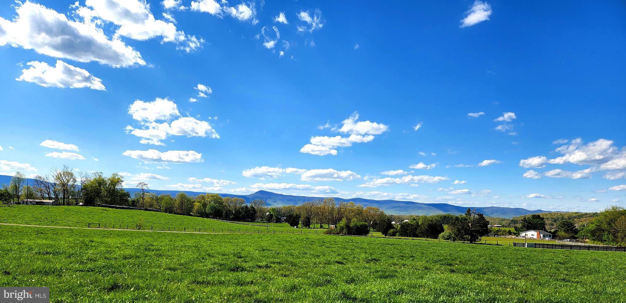 1477 Clearview Road Luray, VA 22835 - Photo 2 of 39 a view of a big yard with large tree