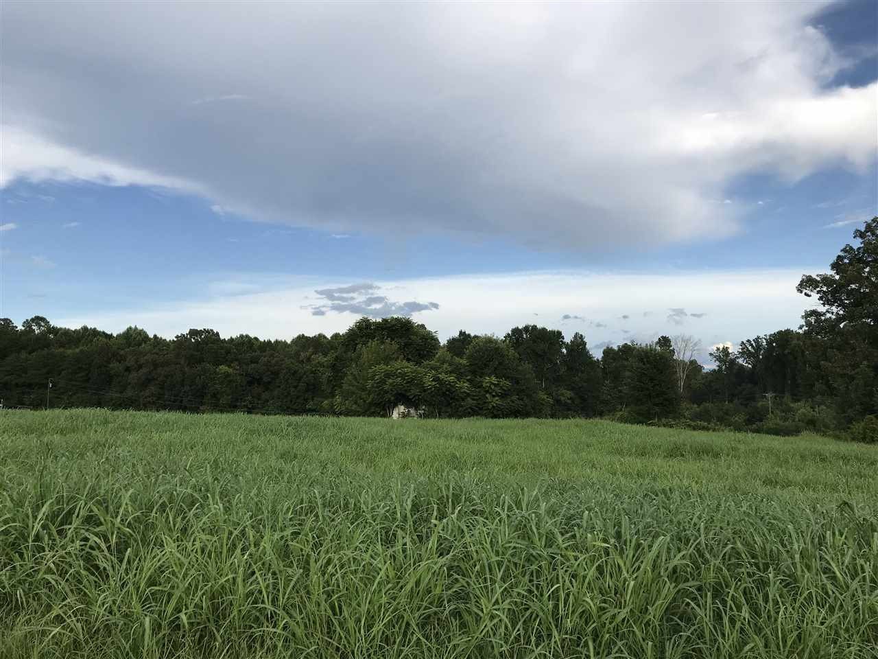 0 Hunters Trail Sweetwater, TN 37874 - Photo 4 of 12