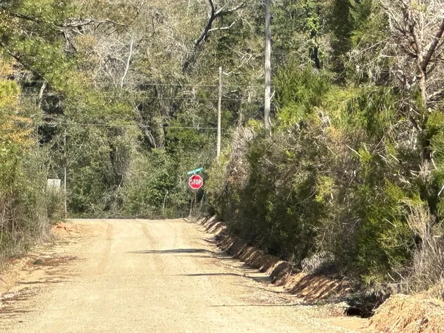 a view of a yard with trees