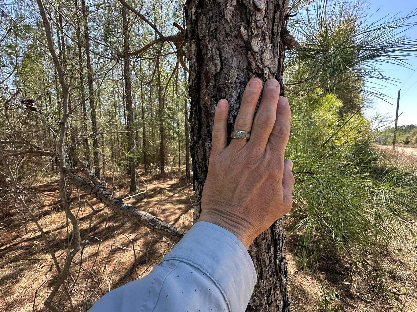 Tract#6418 Northeast Mattox Springs Road Caryville, FL 32427 - Photo 3 of 4 a view of outdoor space and yard