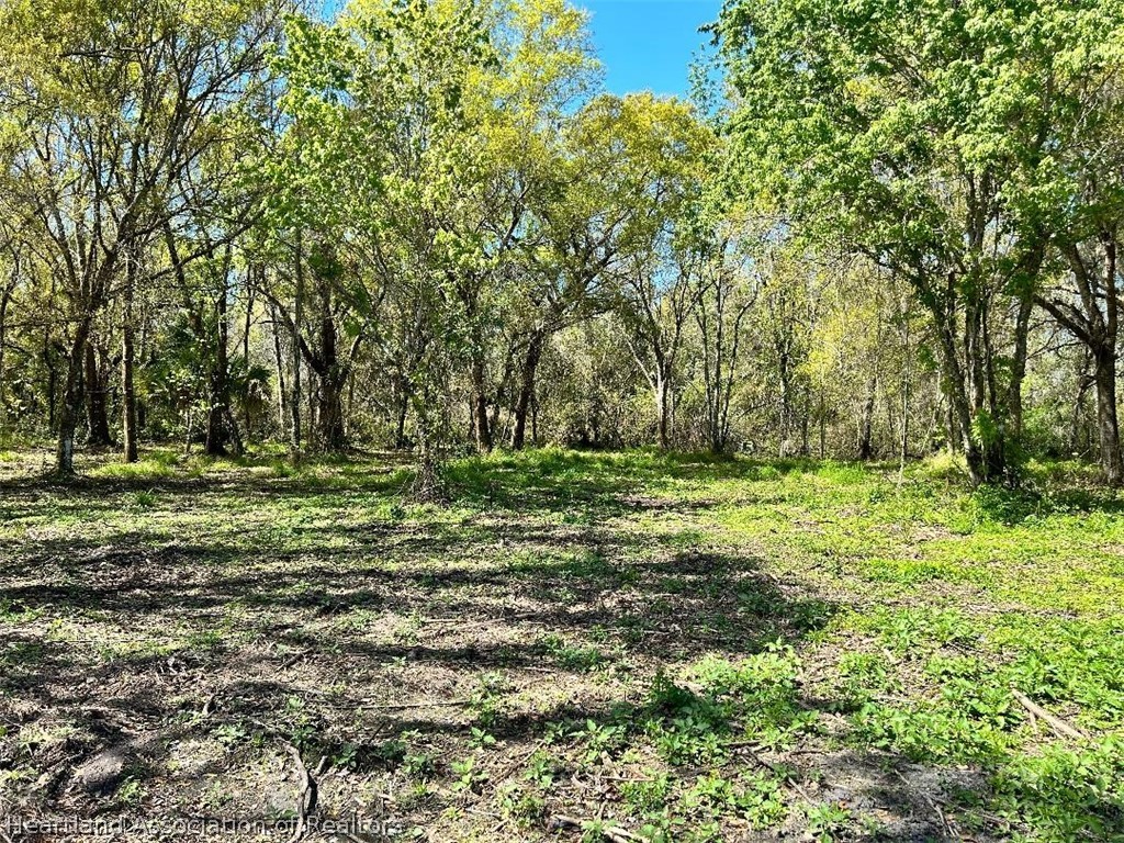 1299 Alec Hendry Road Wauchula, FL 33873 - Photo 1 of 10 Gallery Image 1