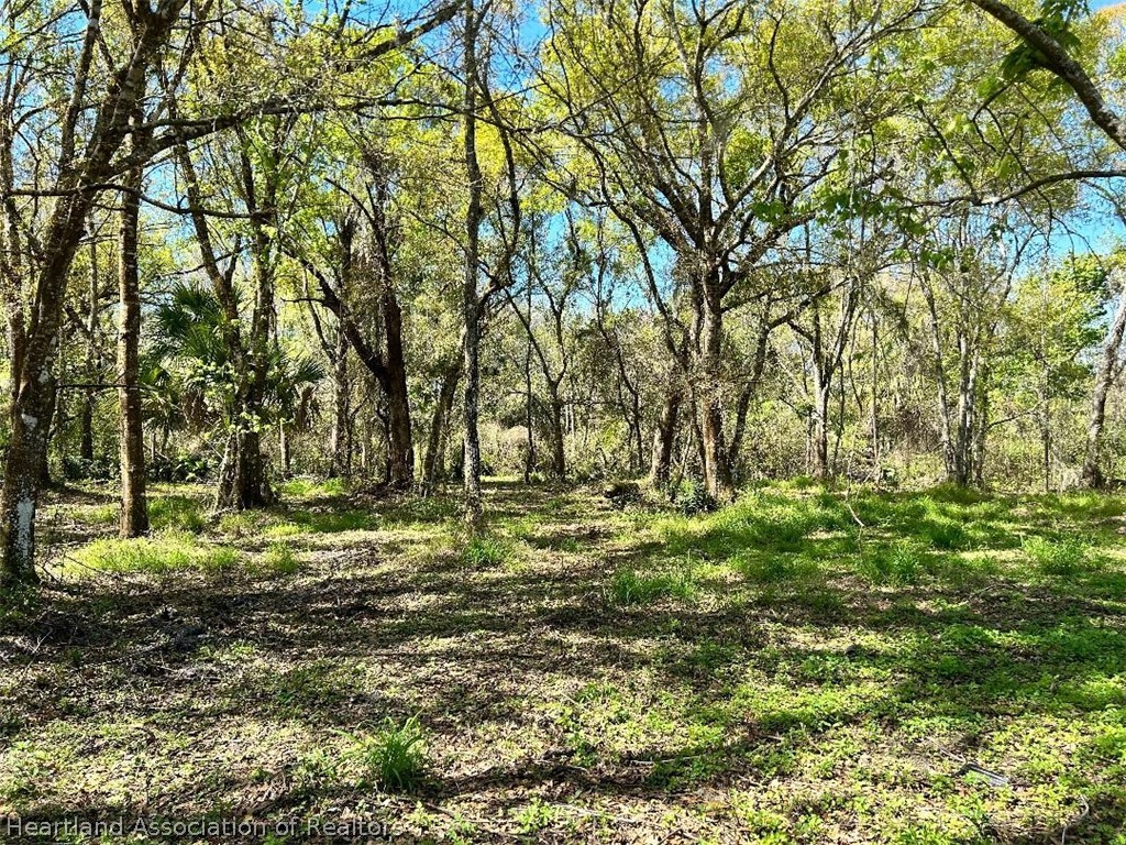 1299 Alec Hendry Road Wauchula, FL 33873 - Photo 4 of 10 Gallery Image 4