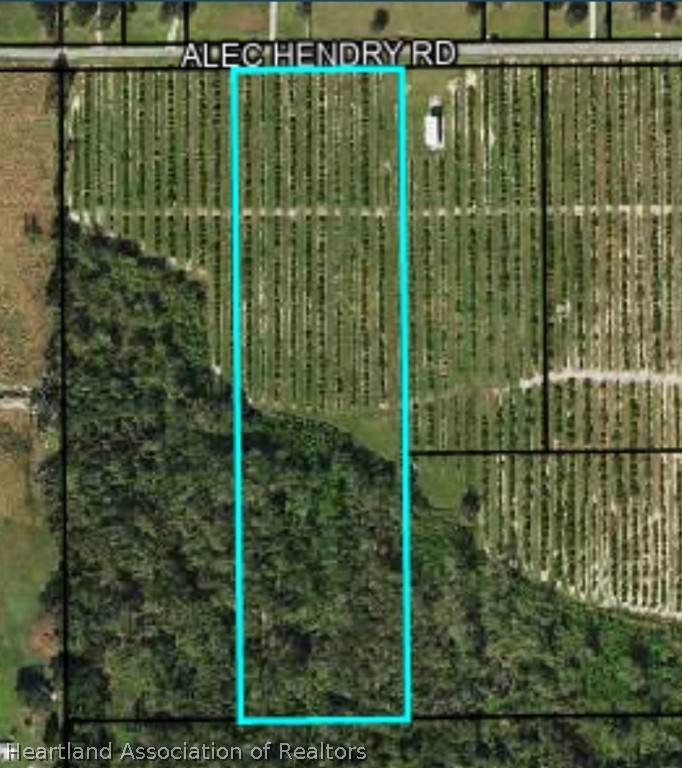 1299 Alec Hendry Road Wauchula, FL 33873 - Photo 10 of 10 Gallery Image 10