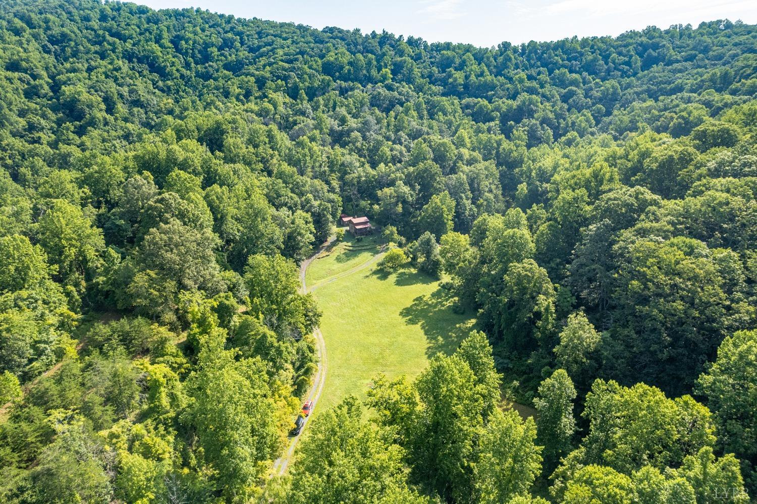 704 Peters Hollow Road Monroe, VA 24574 - Photo 46 of 55 a view of a forest with a street