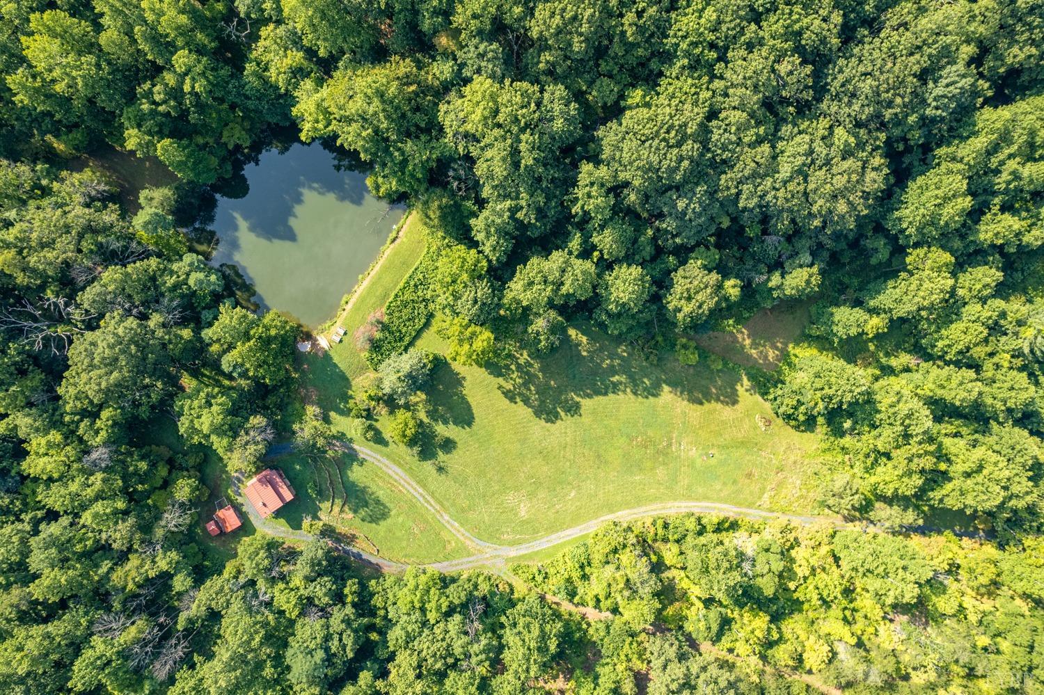 704 Peters Hollow Road Monroe, VA 24574 - Photo 48 of 55 a view of a garden