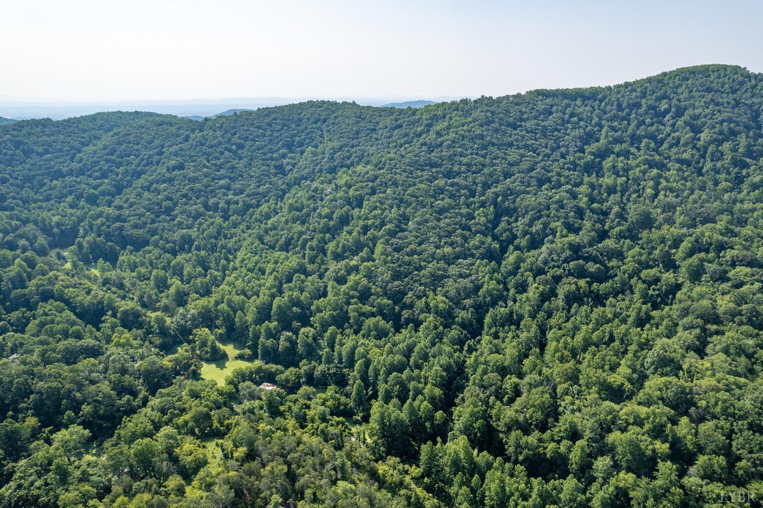 704 Peters Hollow Road Monroe, VA 24574 - Photo 50 of 55 a view of a large mountain with a lush green forest