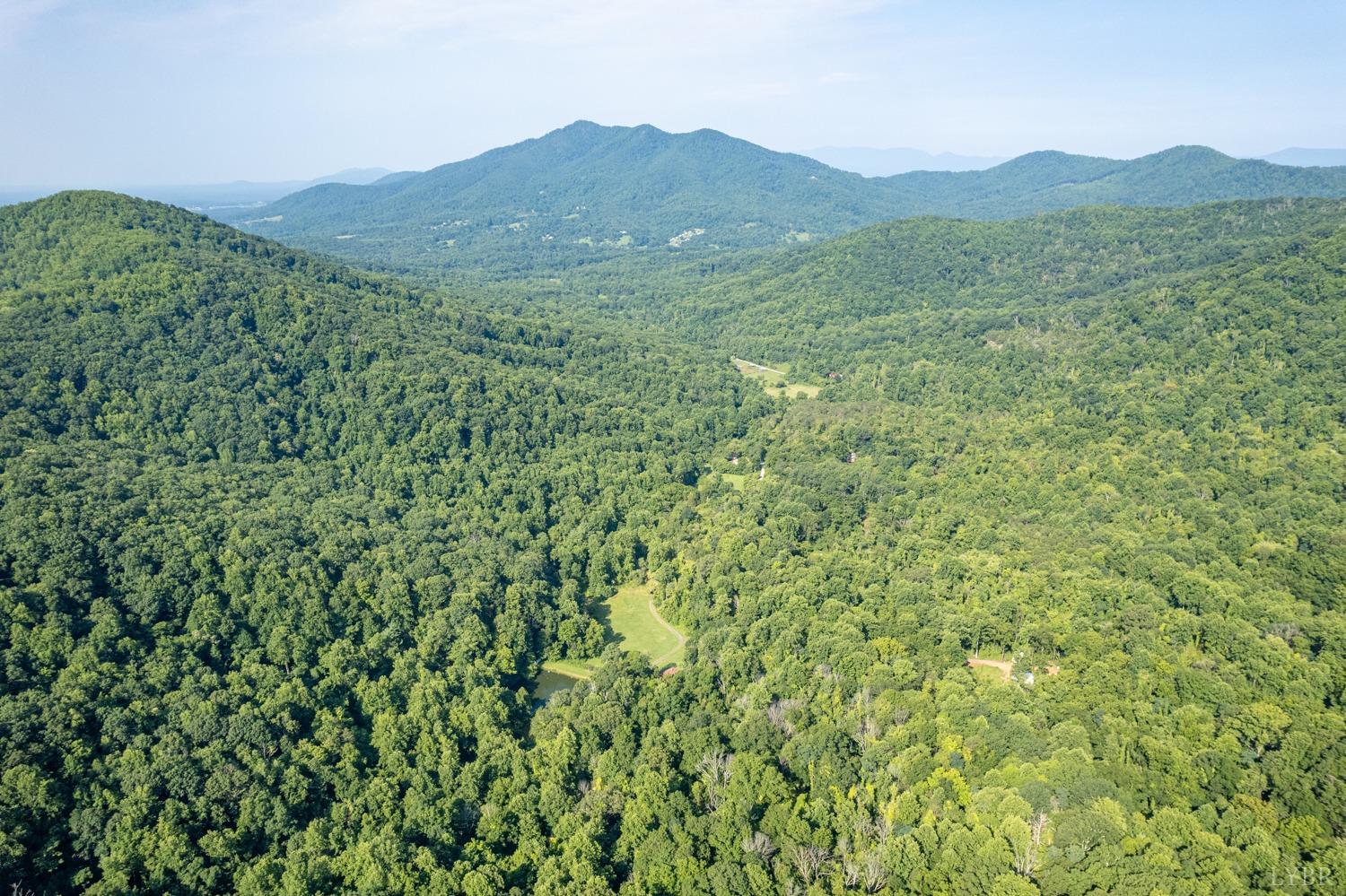 704 Peters Hollow Road Monroe, VA 24574 - Photo 52 of 55 a view of a lush green hillside and a mountain