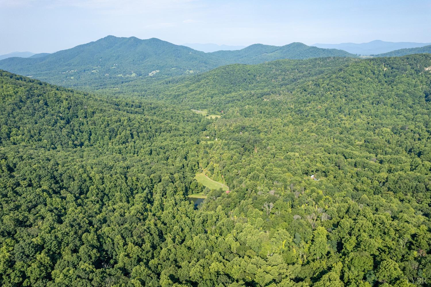 704 Peters Hollow Road Monroe, VA 24574 - Photo 53 of 55 a view of a lush green hillside and a mountain view