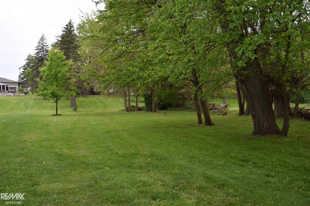 42430 Utica Road Sterling Heights, MI 48314 - Photo 10 of 44 50075679-9.JPG