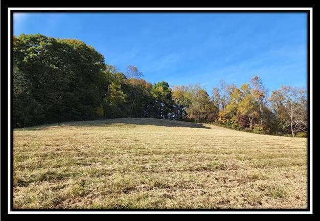 0 Maysville-Williams Road, Unit TRACT 1) Logan, OH 43138 - Photo 21 of 47 image021