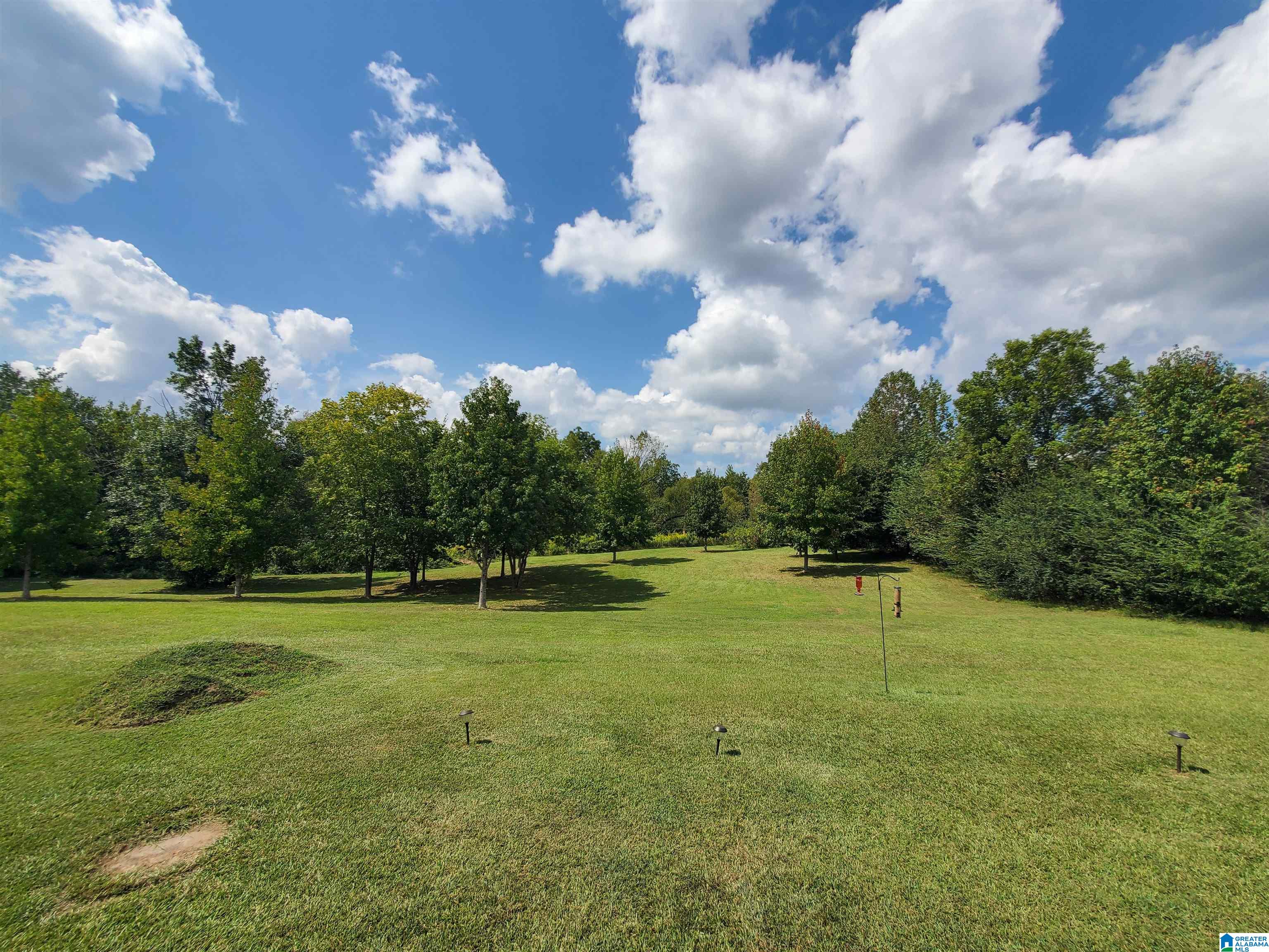 622 Rocky Hollow Road Jacksonville, AL 36265 - Photo 38 of 40