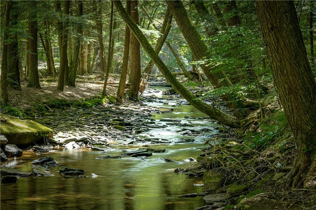 1011 Taylor Road Tionesta, PA 16353 - Photo 23 of 25