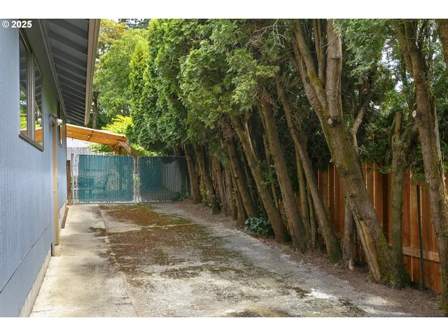 a backyard of a house with lots of green space