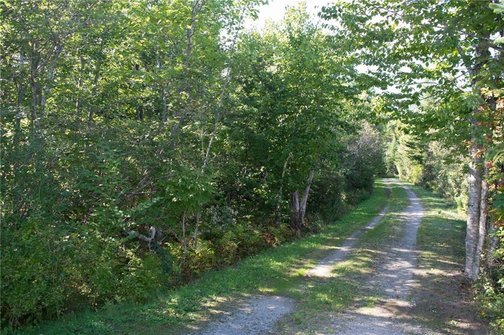 722 A The Shore Road Castine, ME 04421 - Photo 4 of 8 Photo