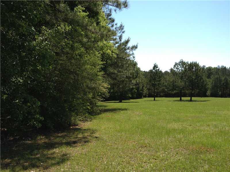 6763 River Road Clinton, LA 70722 - Photo 1 of 4 Gallery Image 1