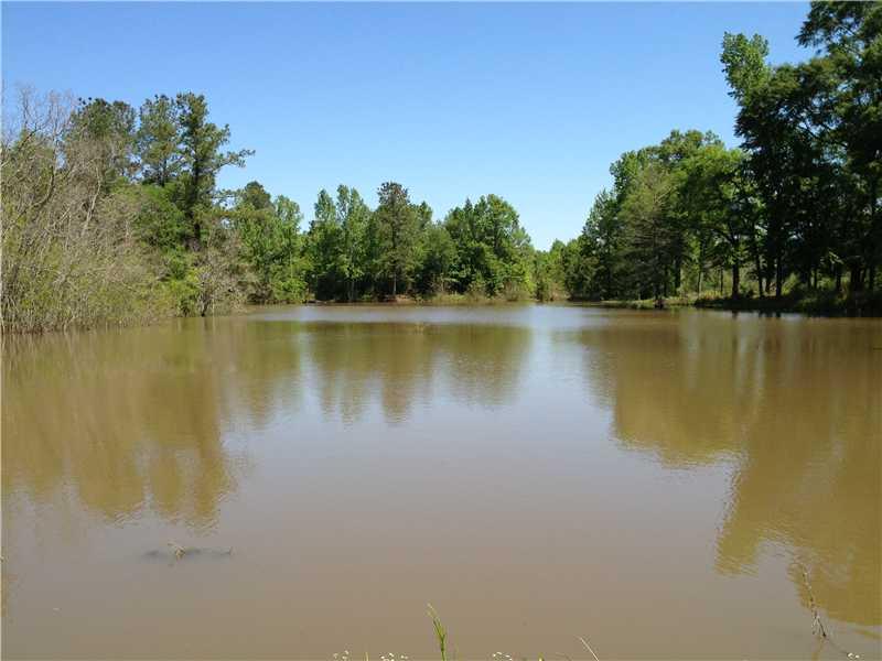 6763 River Road Clinton, LA 70722 - Photo 2 of 4 Gallery Image 2