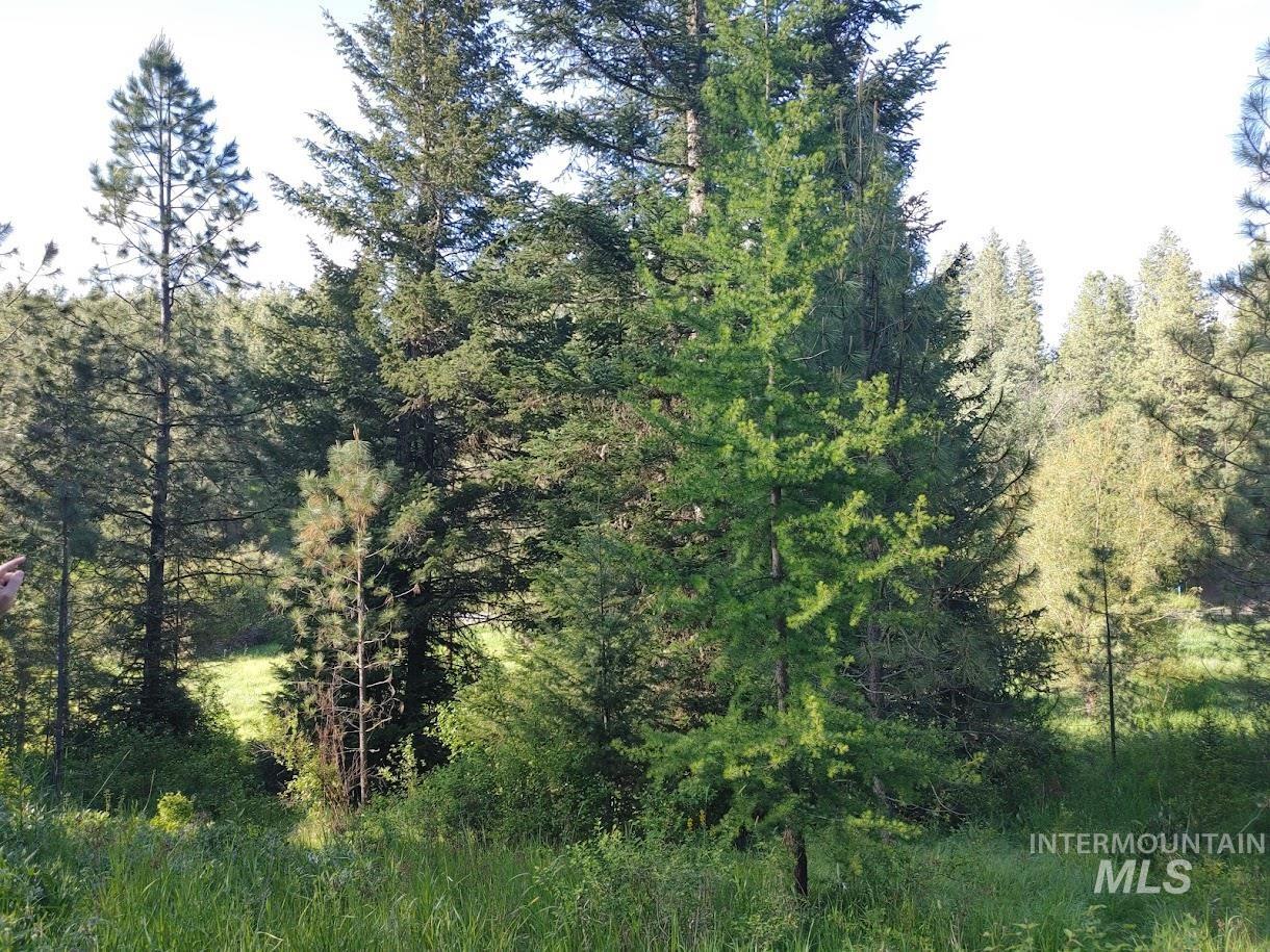 Tbd Wallen Road Moscow, ID 83843 - Photo 13 of 20 Gallery Image 13