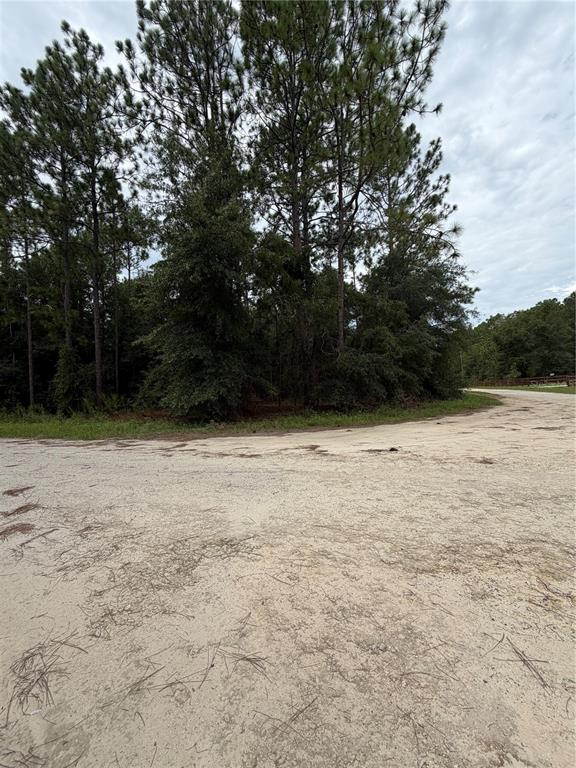 0 Southwest 48th Lane Road Ocala, FL 34481 - Photo 2 of 9 Gallery Image 2