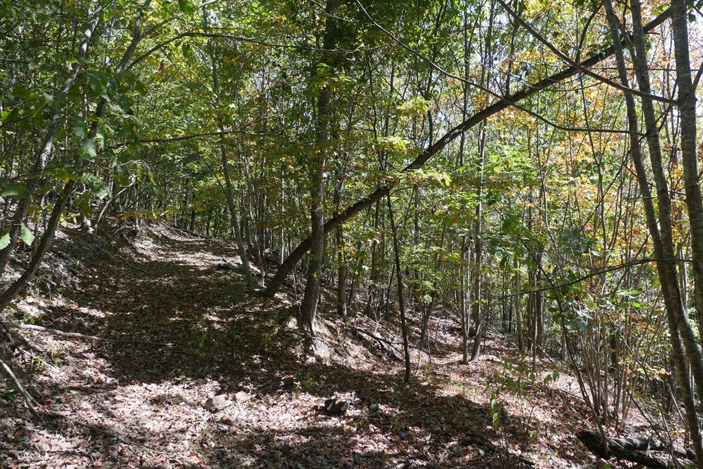 Tbd Hall Hollow Road, Unit 1 Austinville, VA 24312 - Photo 20 of 76 Gallery Image 20