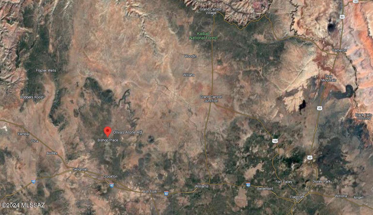268 Olivas Alone Road Williams, AZ 86046 - Photo 7 of 12