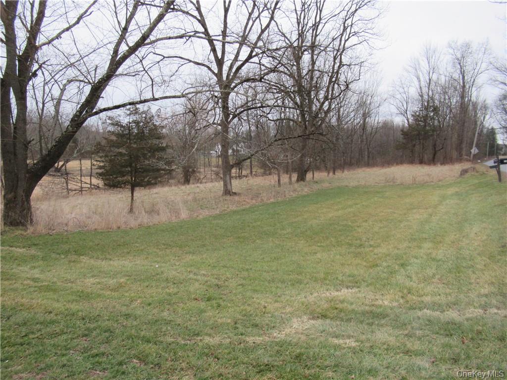198 Big Island Road Warwick, NY 10990 - Photo 3 of 24 a view of a yard with a tree