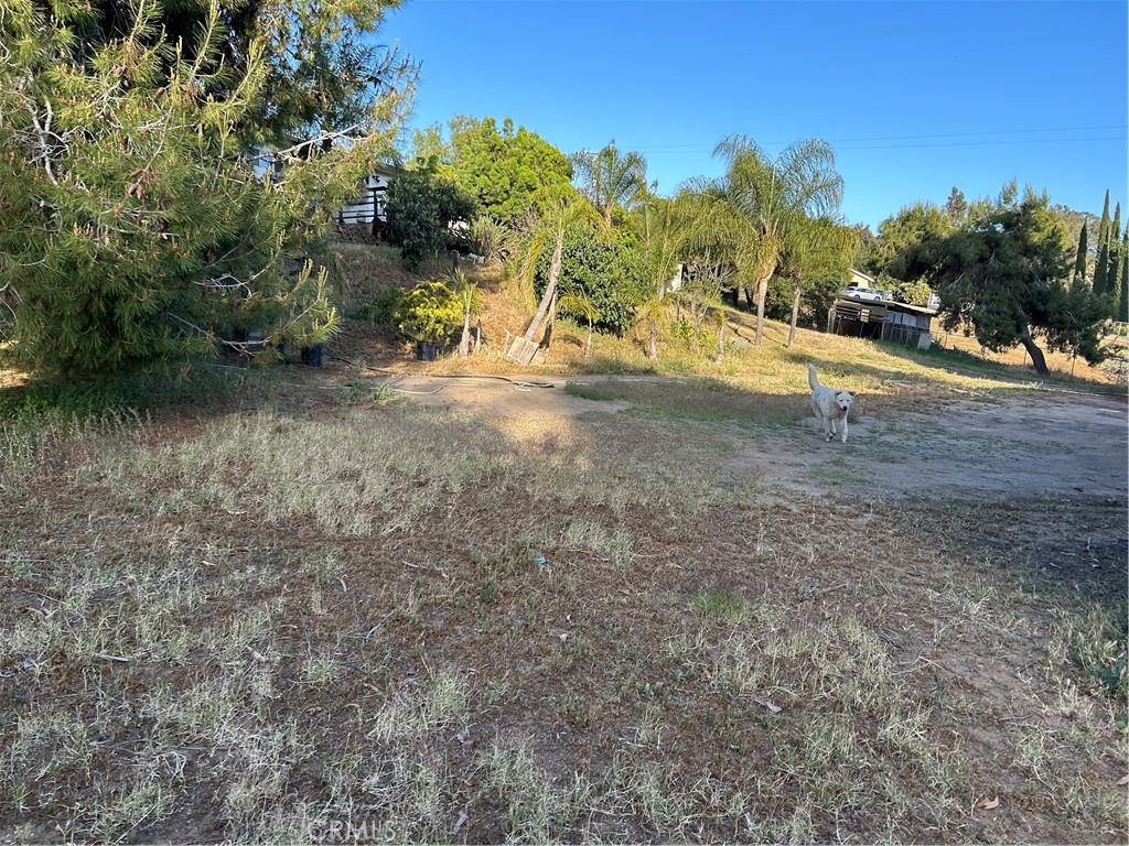 4644 La Canada Road Fallbrook, CA 92028 - Photo 2 of 26 a view of a yard with a tree