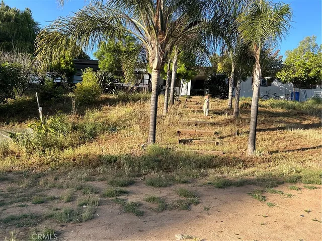a view of yard with tree