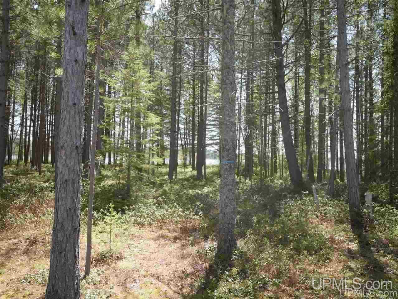 33985 Rice Landing Rd Lake Lake Linden, MI 49945 - Photo 7 of 30
