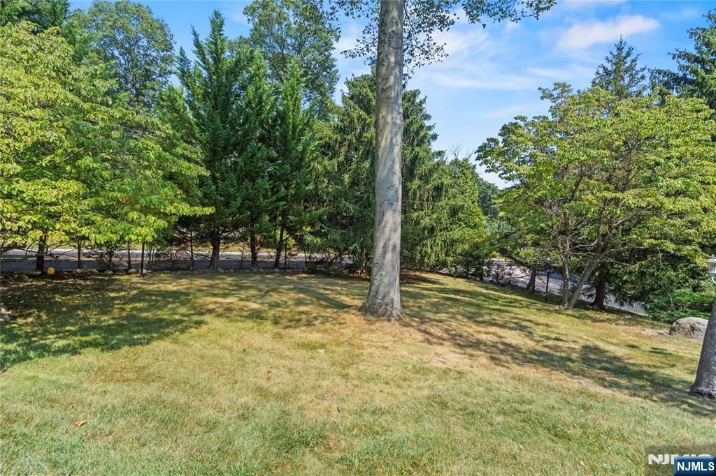 10 East Allendale Road Saddle River, NJ 07458 - Photo 4 of 18
