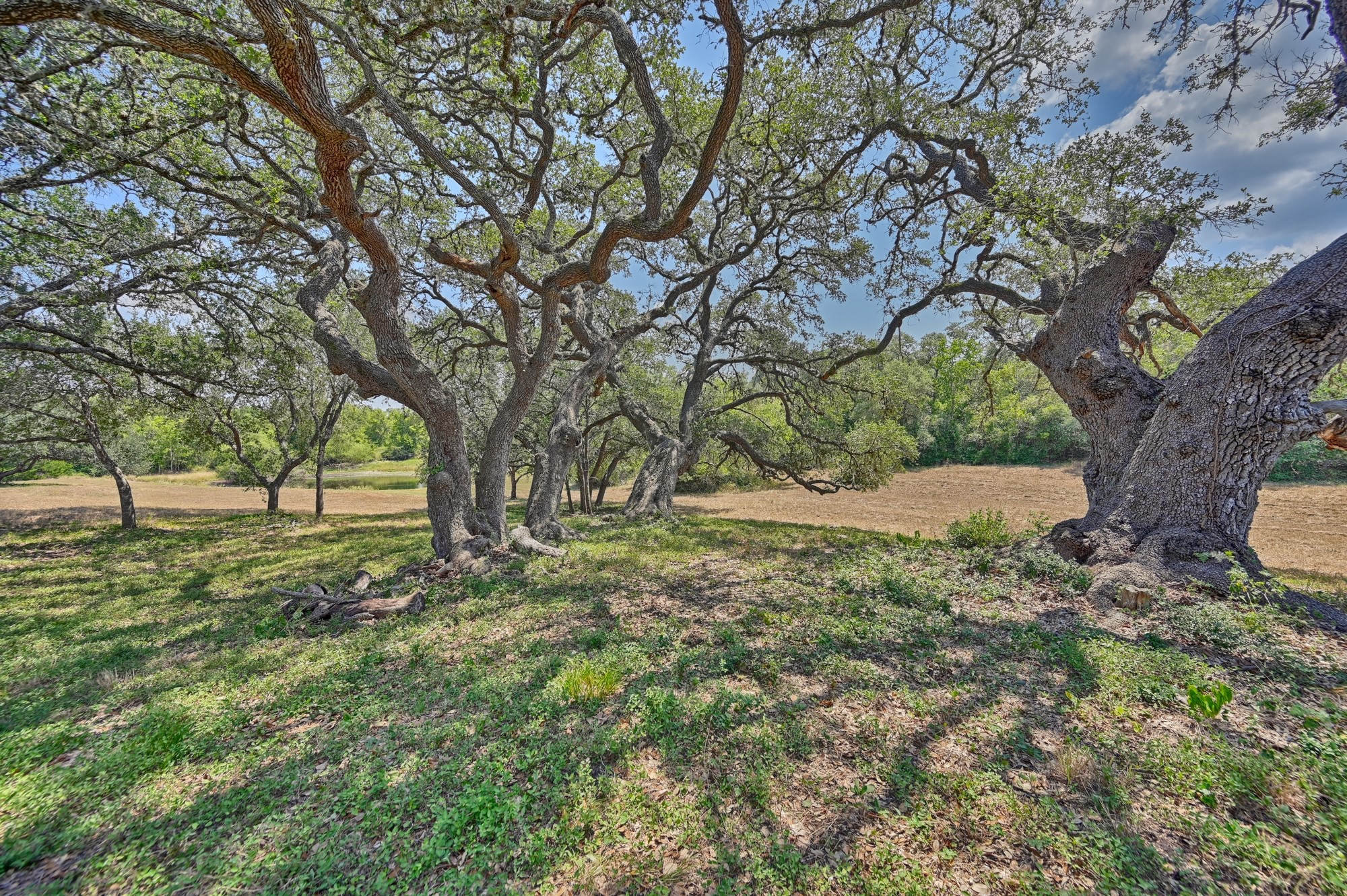 1900 Baron Road La Grange, TX 78945 - Photo 6 of 32