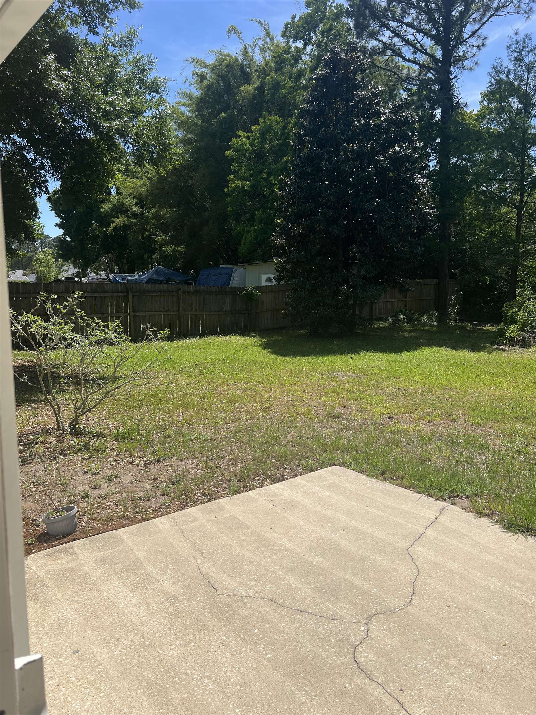 5465 Datil Pepper Road St. Augustine, FL 32086 - Photo 28 of 28 a view of backyard with green space