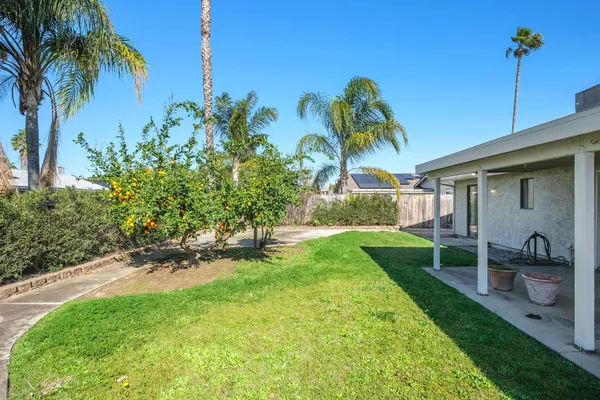a view of a backyard with a garden and plants