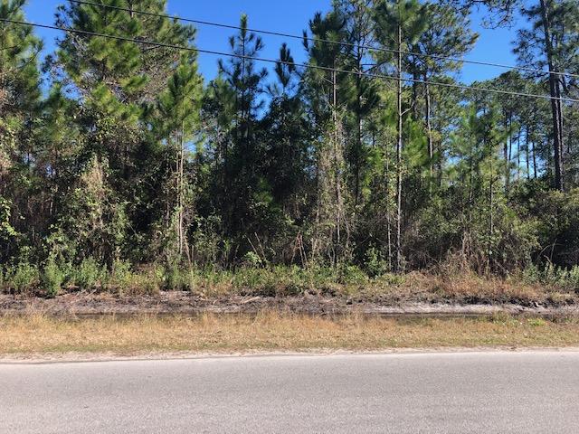 Lot 149 Indian Woman Road Santa Rosa Beach, FL 32459 - Photo 1 of 1 a view of a yard with a tree