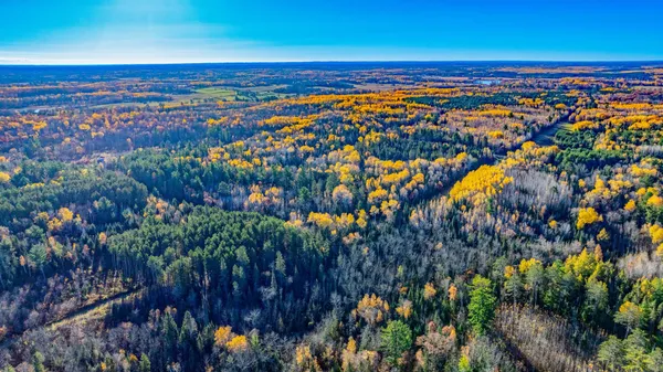 $68,000 | 5 County Hway, Akeley, MN 56433