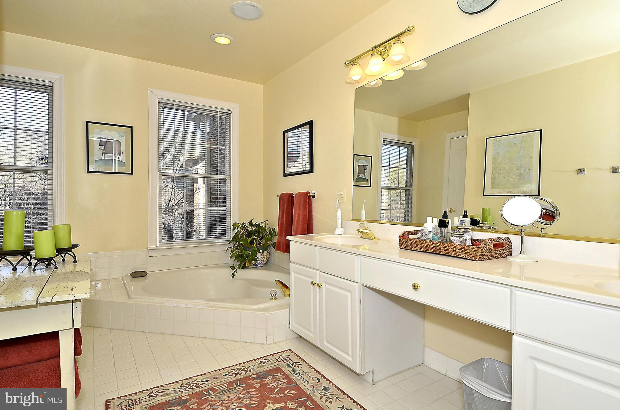 148 Rees Place Falls Church, VA 22046 - Photo 21 of 29 a bathroom with a tub double sink window and mirror