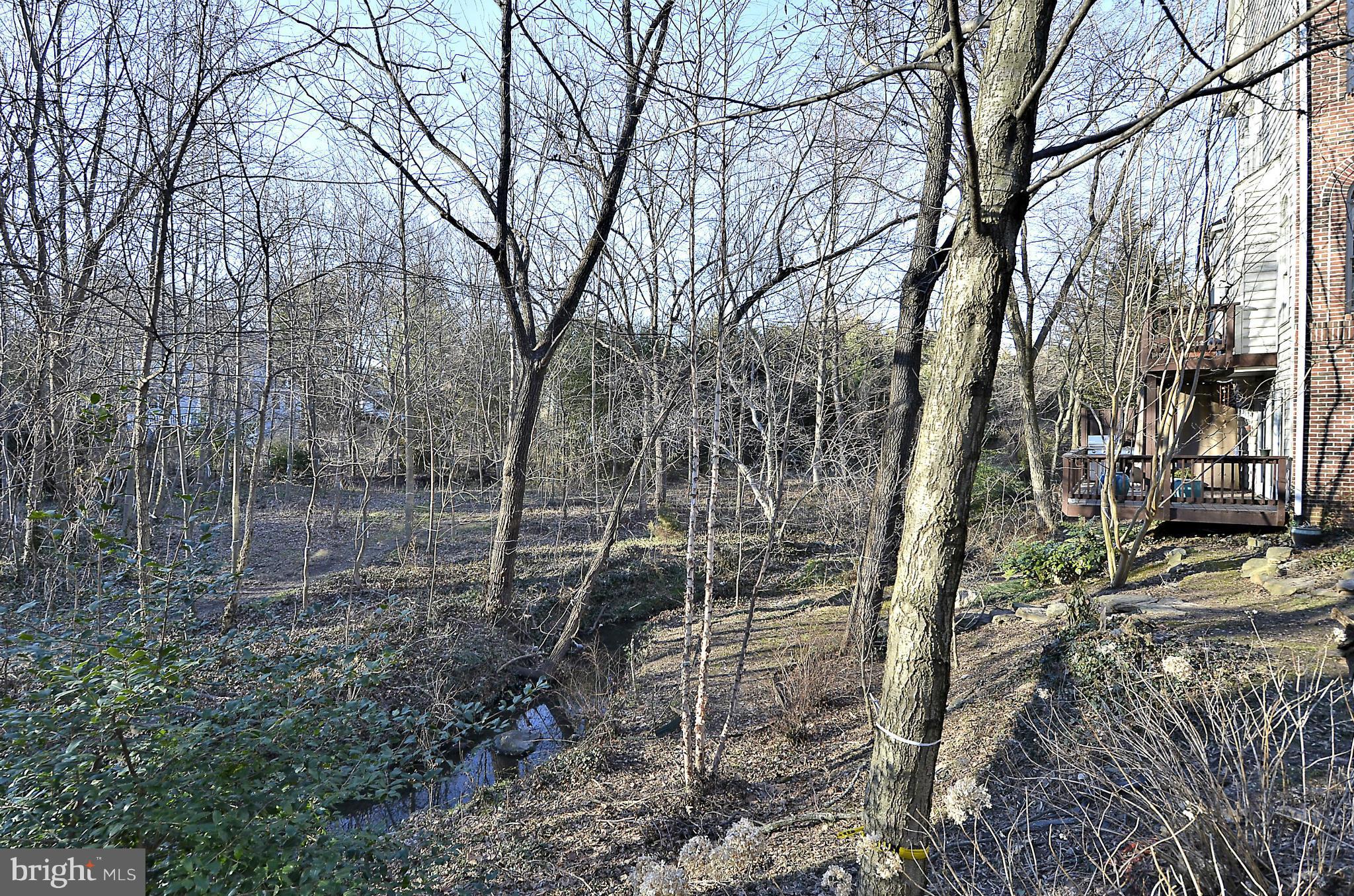 148 Rees Place Falls Church, VA 22046 - Photo 7 of 29 a view of a forest filled with trees