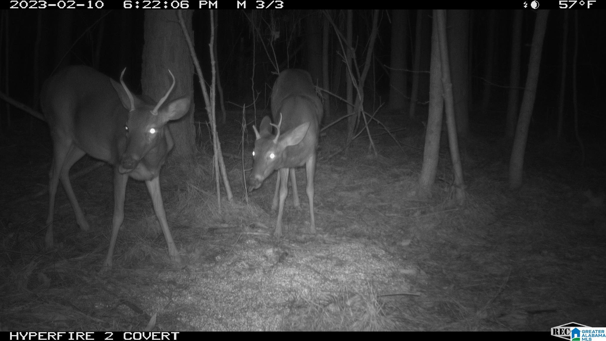 0 Parsons Loop Road Mulga, AL 35118 - Photo 34 of 38