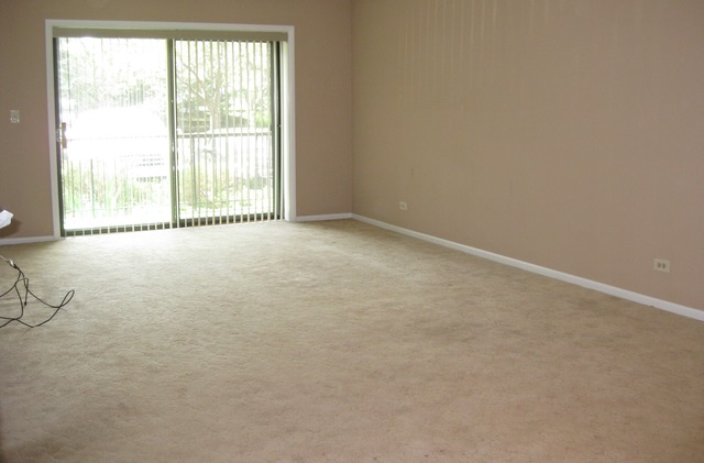 801 79th Street, Unit 101 Darien, IL 60561 - Photo 2 of 12