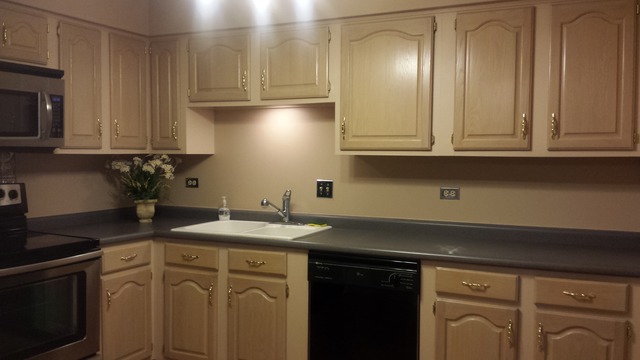 801 79th Street, Unit 101 Darien, IL 60561 - Photo 4 of 12